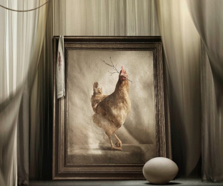 گالری آثار عکاسی اوریول یولانچ از اسپانیا