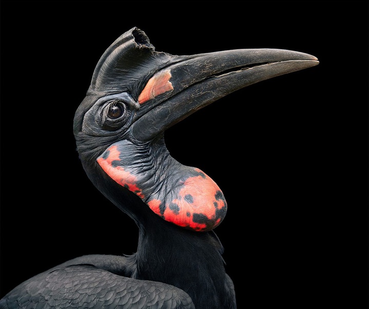 گالری عکس‌های خلاقانه تیم فلچ از بریتانیا