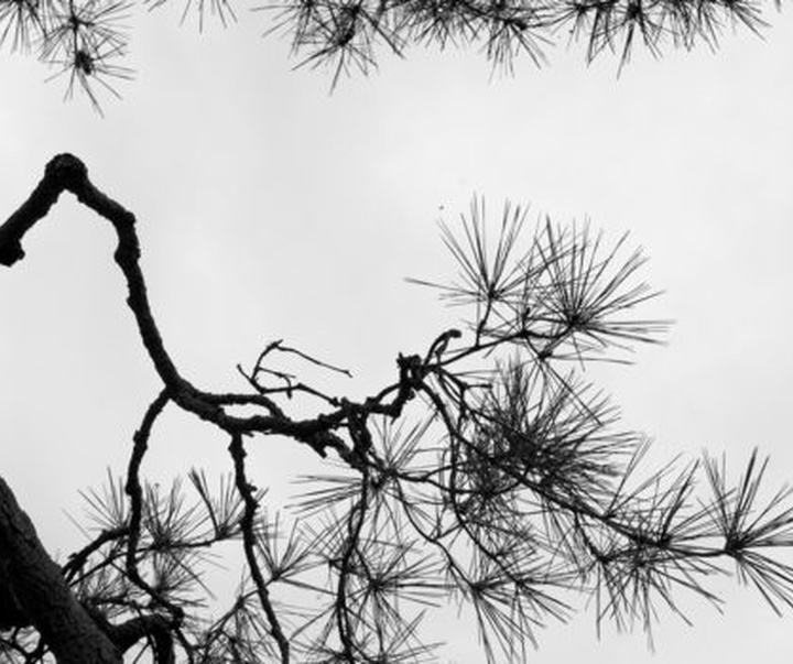 گالری عکس های پاول جت از آمریکا