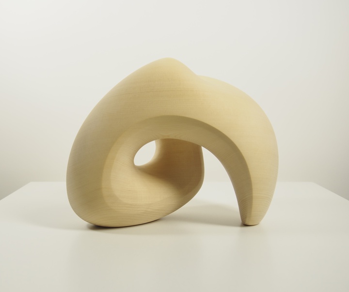 گالری آثار حجم مایک ساساکی از کانادا