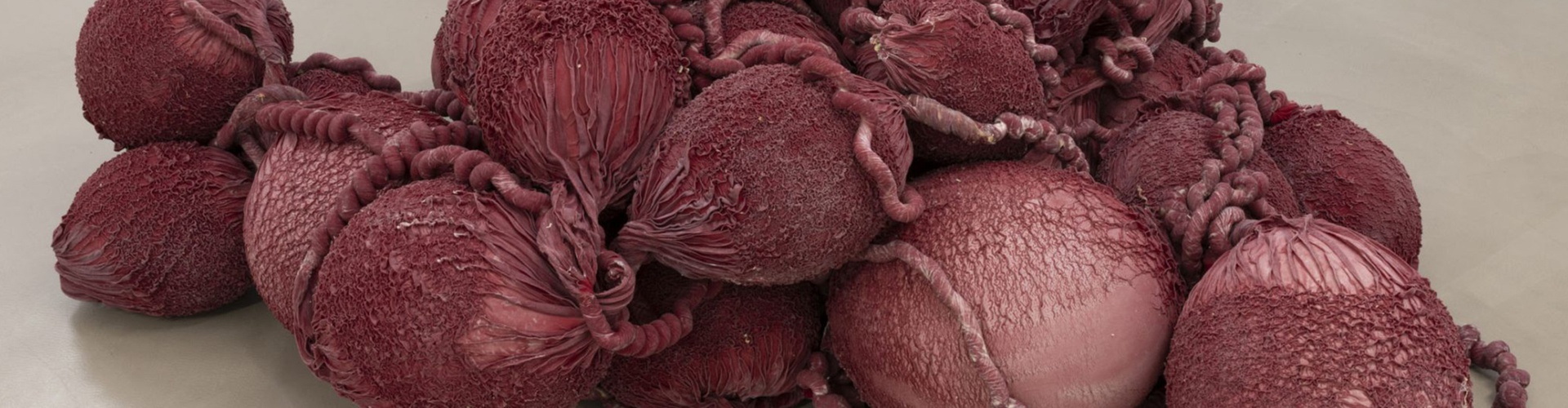 گالری آثر چیدمان و حجم اوا فابرگاس از اسپانیا