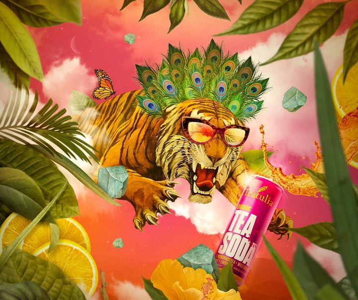 گالری تصویرسازی‌های گیرمو فلورس پاچکو از مکزیک