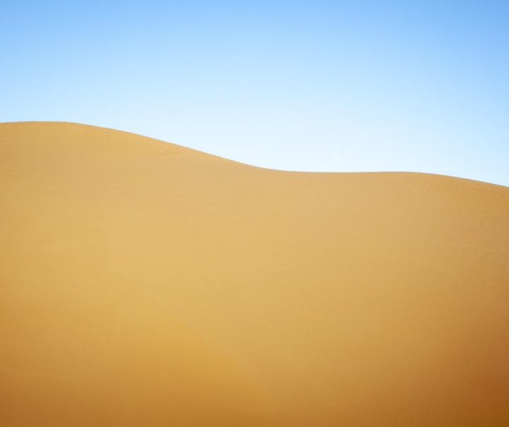آلیس ویلیامز