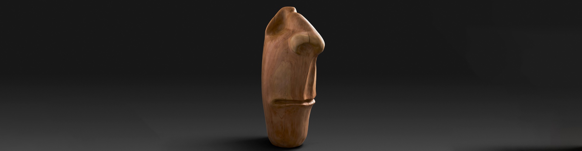 گالری آثار حجم آندرس آگیره از اکوادور