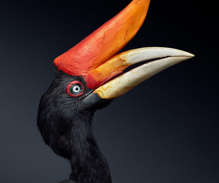 گالری عکس‌های خلاقانه تیم فلچ از بریتانیا