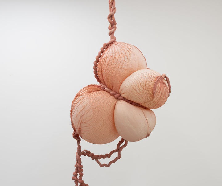 گالری آثر چیدمان و حجم اوا فابرگاس از اسپانیا