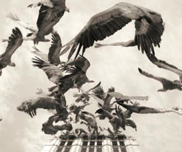 گالری آثار عکاسی اوریول یولانچ از اسپانیا