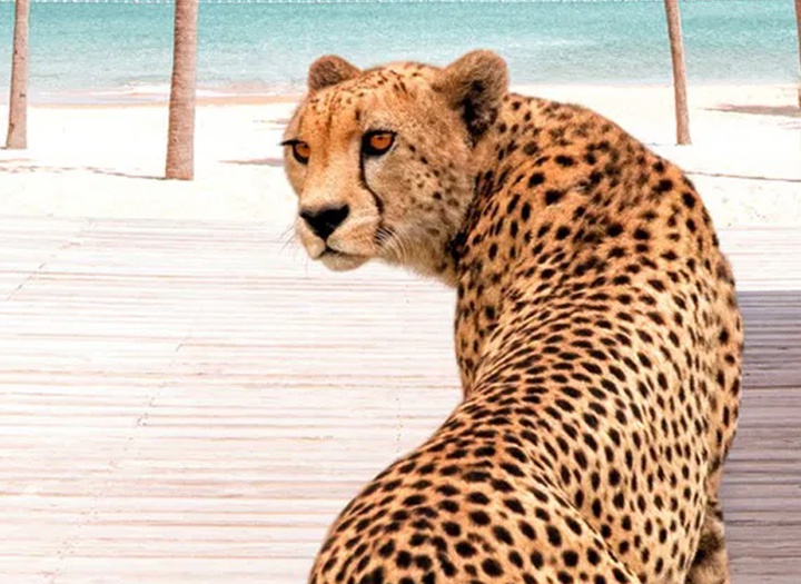 گالری آثار عکاسی پاول فوئنتس از بریتانیا