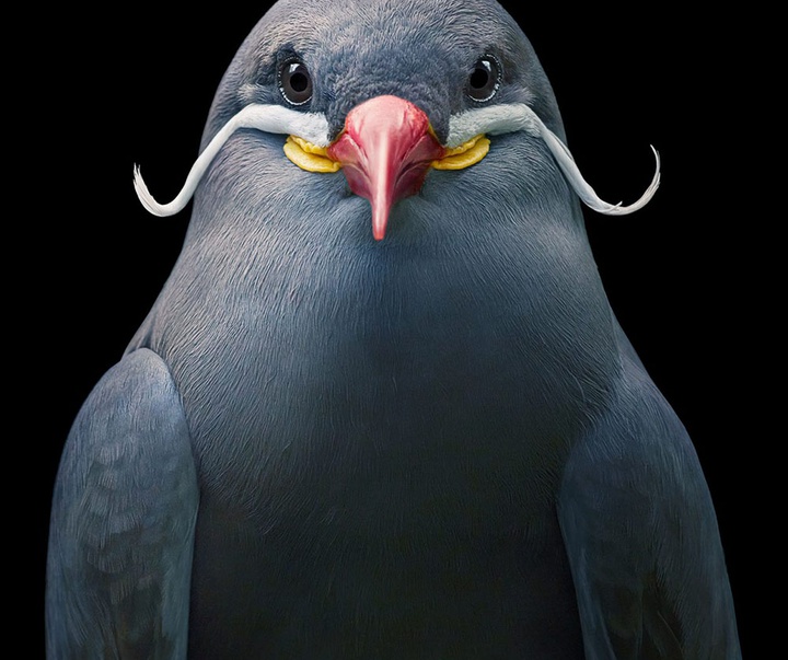 گالری عکس‌های خلاقانه تیم فلچ از بریتانیا