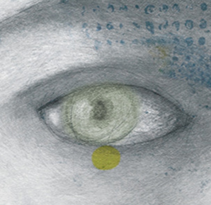 گالری تصویرسازی‌های گابریل پاچکو از مکزیک