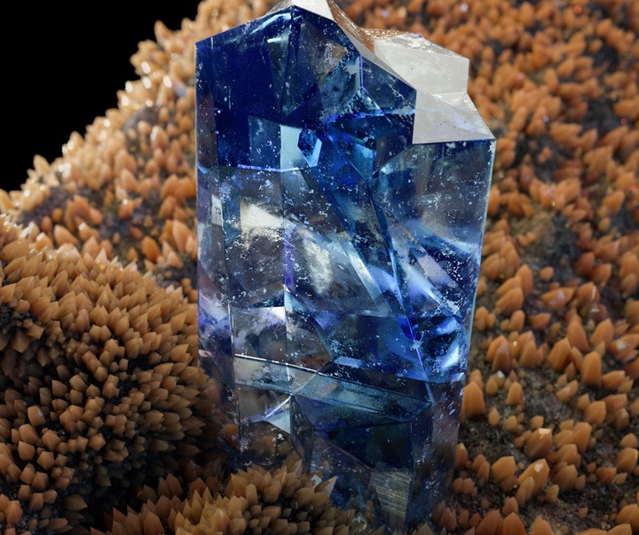 گالری آثار گرافیک سه بعدی خوزه کارلوس از کاستاریکا