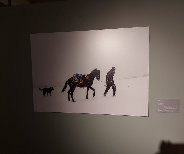 گزارش تصویری از نمایشگاه چهاردهمین جشنواره هنرهای تجسمی فجر