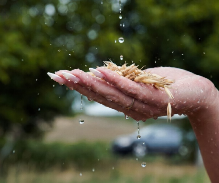 گالری آثار عکاسی دن لاوریچ از رومانی