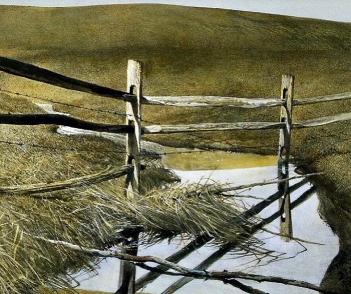 andrew wyeth