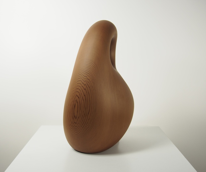 گالری آثار حجم مایک ساساکی از کانادا