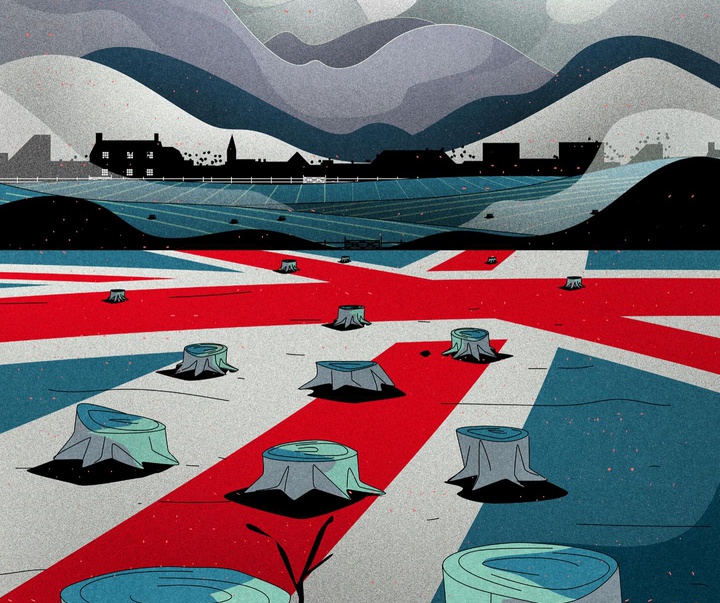 گالری تصویرسازی‌های دنیس فریتاس از برزیل