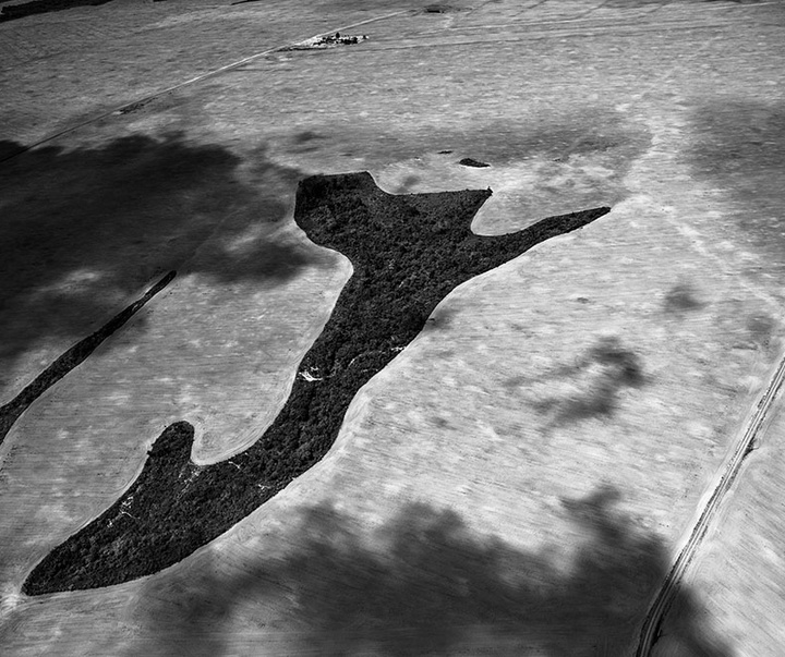 گالری آثار عکاسی لالو د آلمیدا از برزیل - قسمت دوم