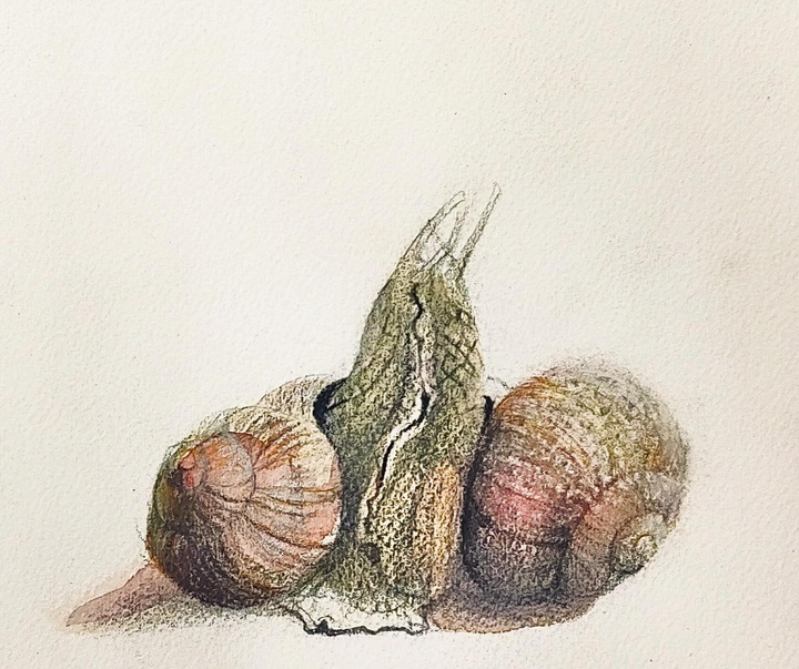 گالری نقاشی‌های لولا ماری از آرژانتین