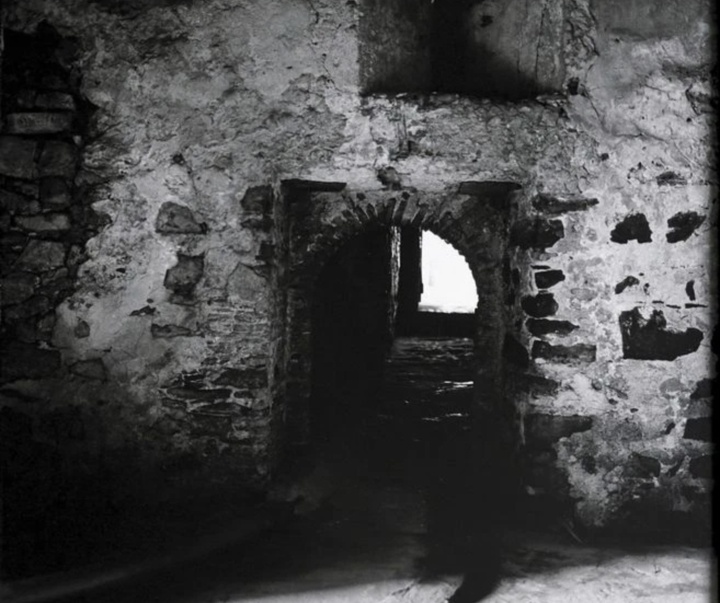 گالری آثار عکاسی کری می ویمز از آمریکا