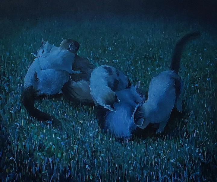 گالری نقاشی‌های لولا ماری از آرژانتین