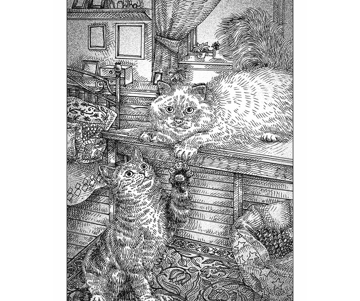 گالری آثار تصویرسازی نیکول بوستامانته از برزیل