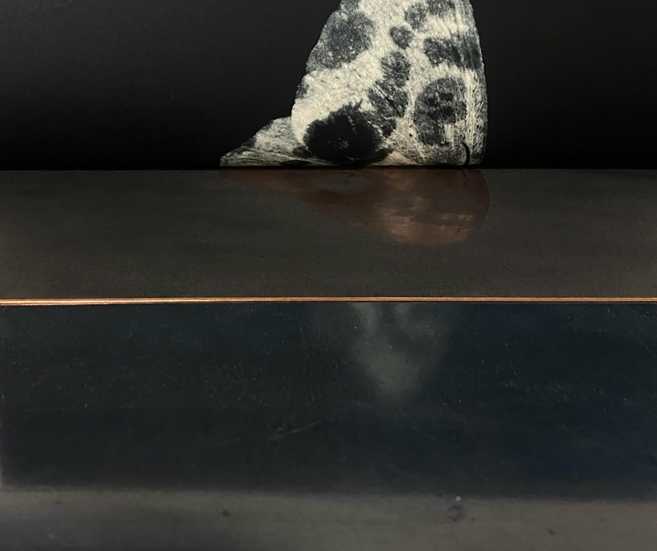 سارا گیلسپی