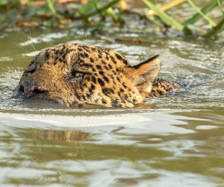 گالری آثار عکاسی جیم زاکرمن از برزیل - قسمت اول