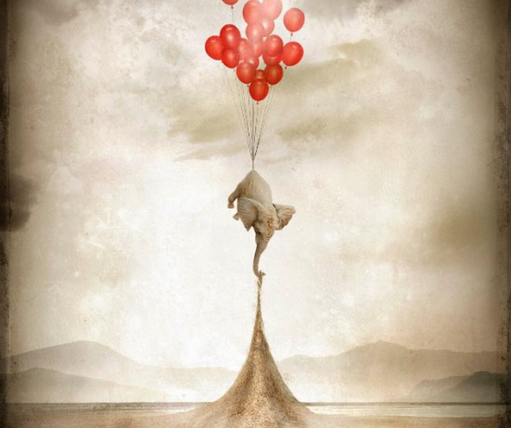 گالری آثار عکاسی اوریول یولانچ از اسپانیا