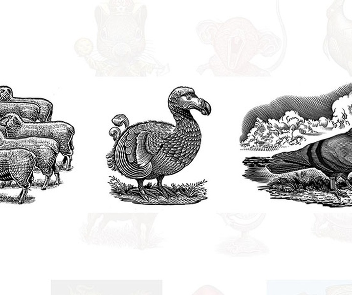 گالری آثار تصویرسازی راجر خاویر از آمریکا