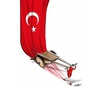 گالری آثار کارتون هلال اوزجان از ترکیه