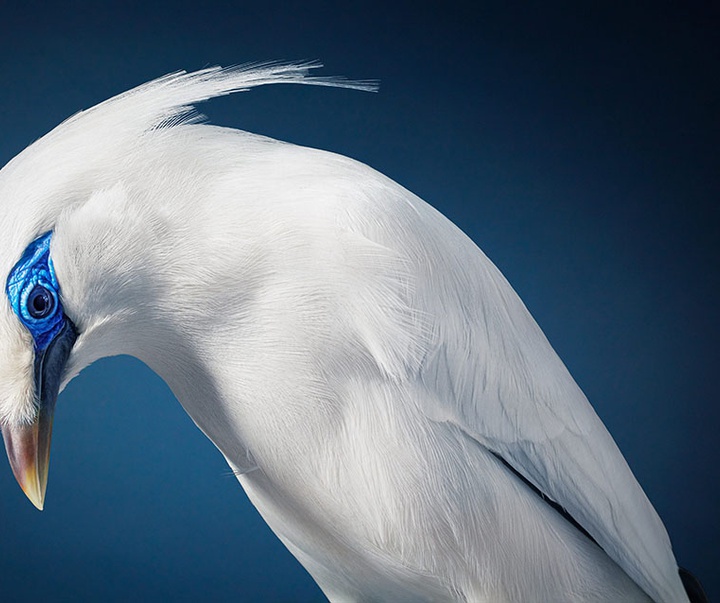 گالری عکس‌های خلاقانه تیم فلچ از بریتانیا