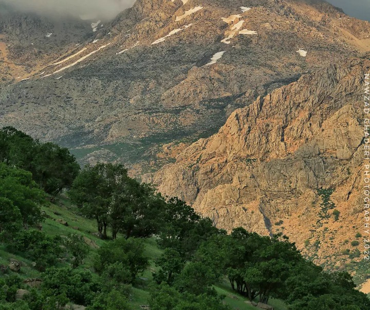 گالری آثار عکس نوزاد قادری از ایران