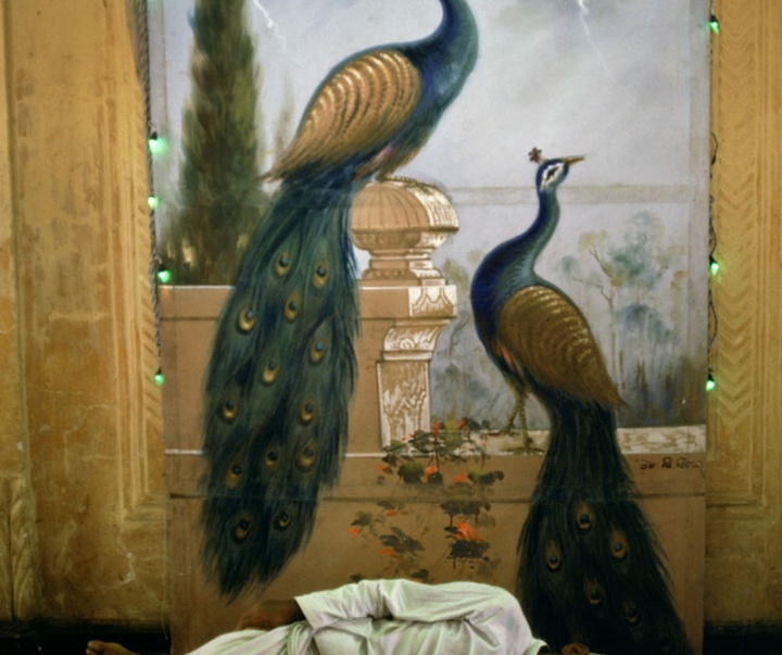 گالری آثار عکاسی برونو باربی از مراکش