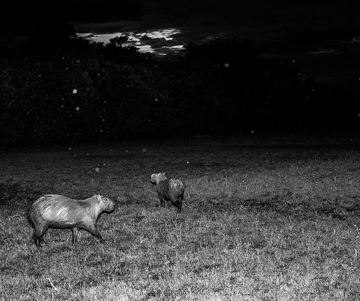 گالری آثار عکاسی خوانیتا اسکوبار از کلمبیا