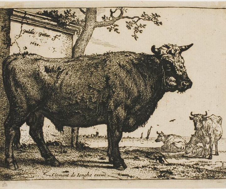paulus potter
