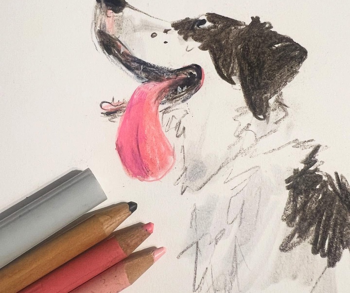 گالری تصویرسازی های جنی بلومفیلد از انگلیس