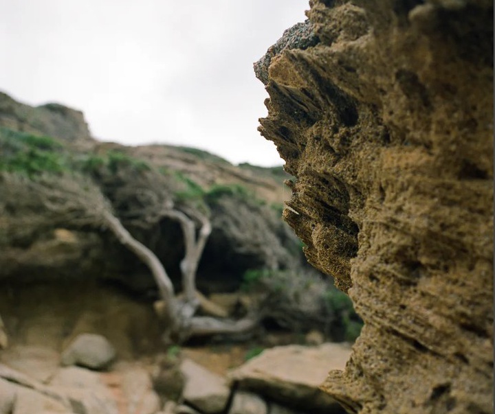 گالری آثار عکاسی مایک سایدل از آلمان