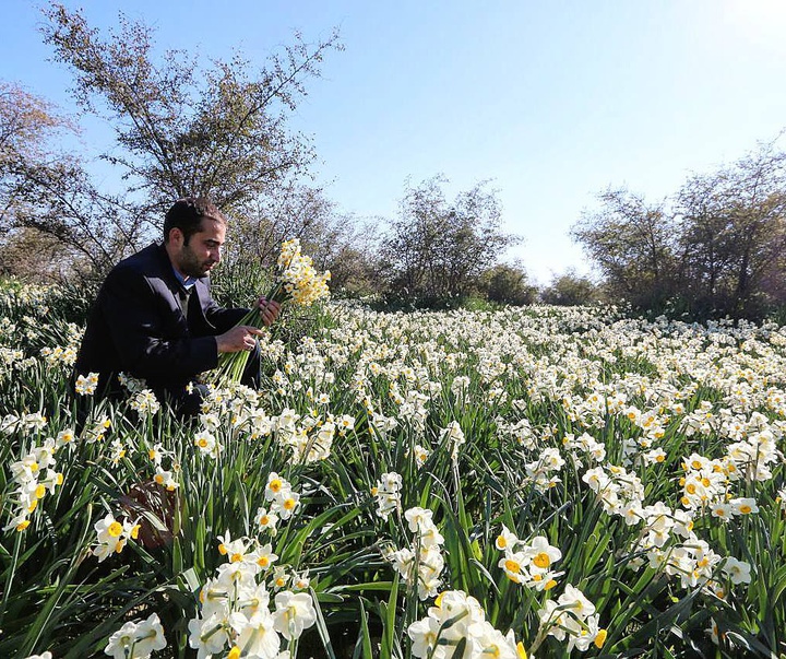 گالری آثار عکاسی میلاد پناهی از ایران