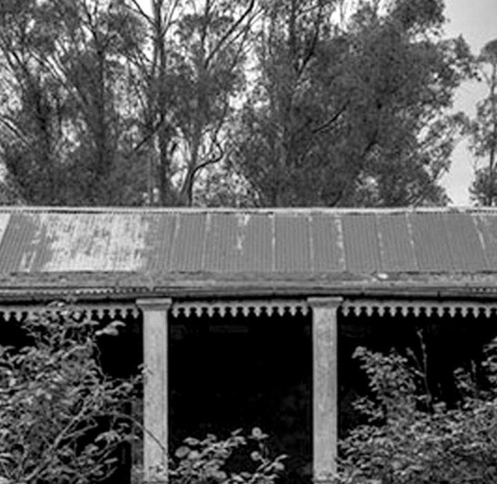 گالری منتخبی از آثار عکاسی هنرمندان آرژانیتینی