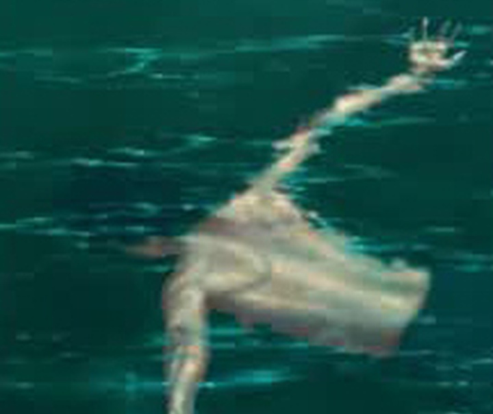 الیزابت دیمیتروف