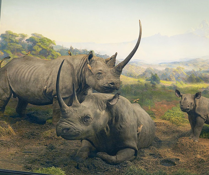 گالری عکس‌های خلاقانه تیم فلچ از بریتانیا