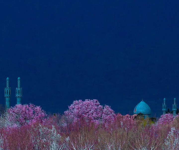 گالری آثار عکاسی محمد‌هادی جلال‌پور از ایران