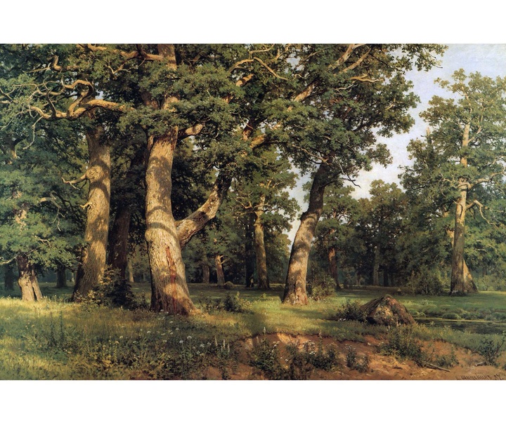 ivan shishkin hH4xGIe