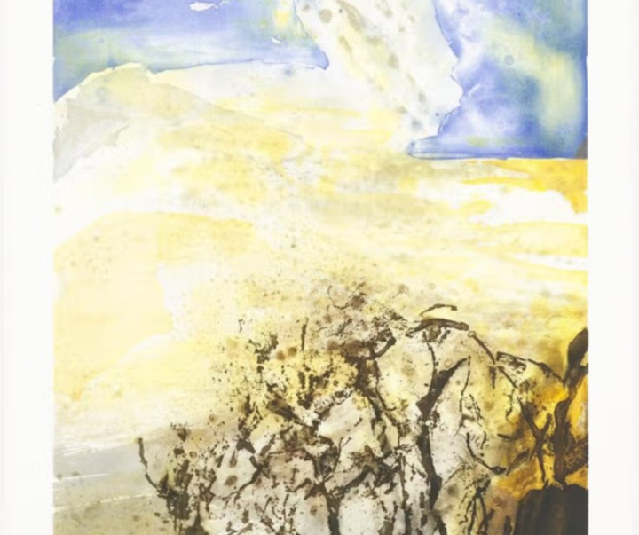 گالری آثار نقاشی زاوو ووکی هنرمند چینی فرانسوی