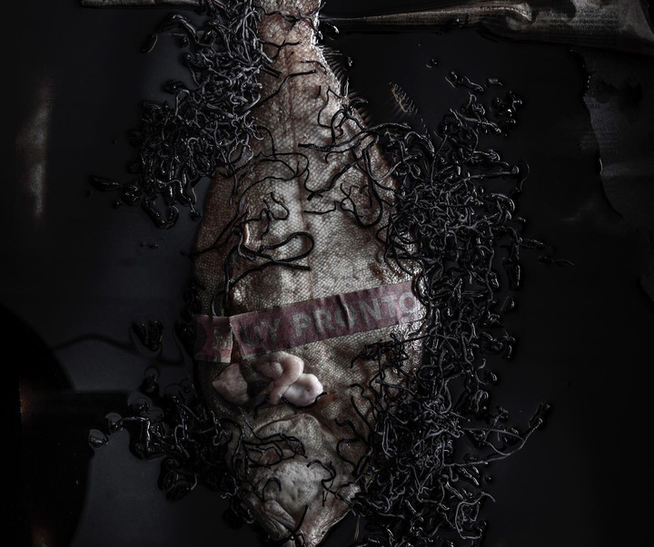 گالری عکس‌های استودیو پاتو کاتز از آرژانتین