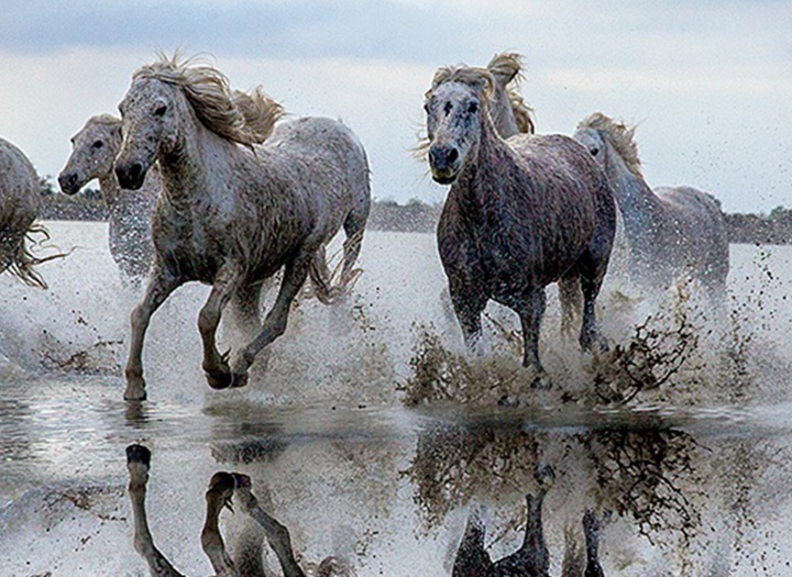 گالری آثار عکاسی جیم زاکرمن از برزیل - قسمت دوم