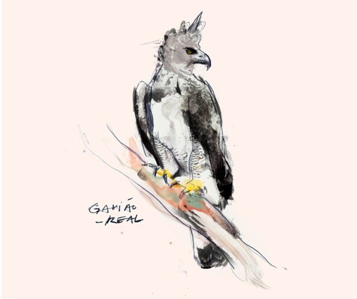 گالری آثار تصویرسازی زی اوتاویو از برزیل - قسمت اول