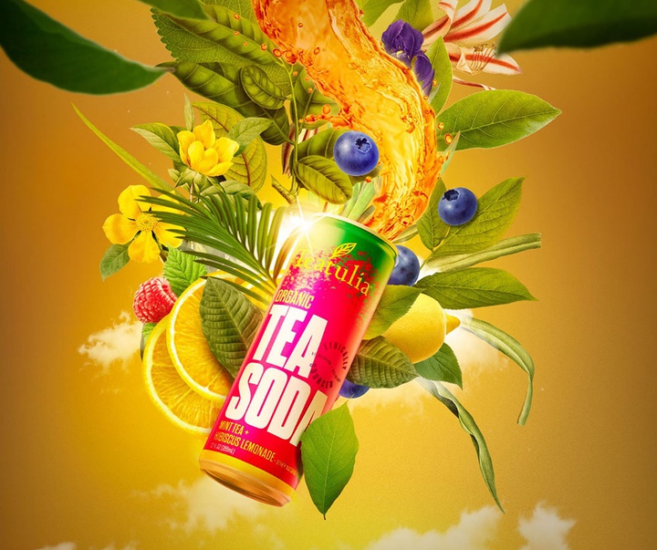 گالری تصویرسازی‌های گیرمو فلورس پاچکو از مکزیک