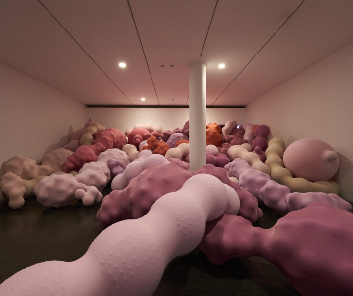 گالری آثر چیدمان و حجم اوا فابرگاس از اسپانیا