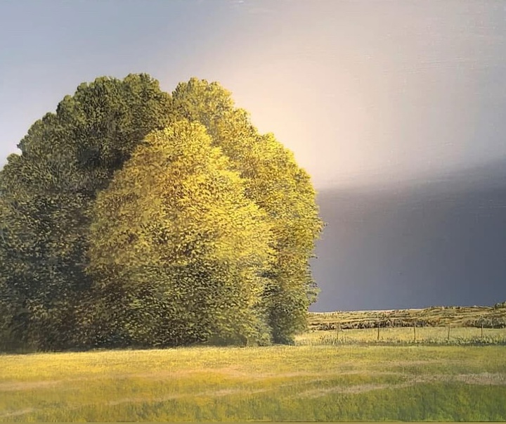 گالری آثار نقاشی آبرنگ خورخه فراسکا از آرژانتین